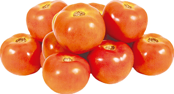 FLV KG TOMATE