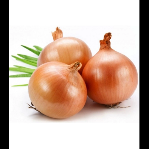 FLV UN CEBOLA PIRULITO KG