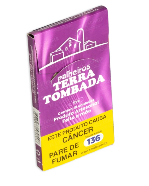PALHEIRO TERRA TOMBADA COM 10 UVA