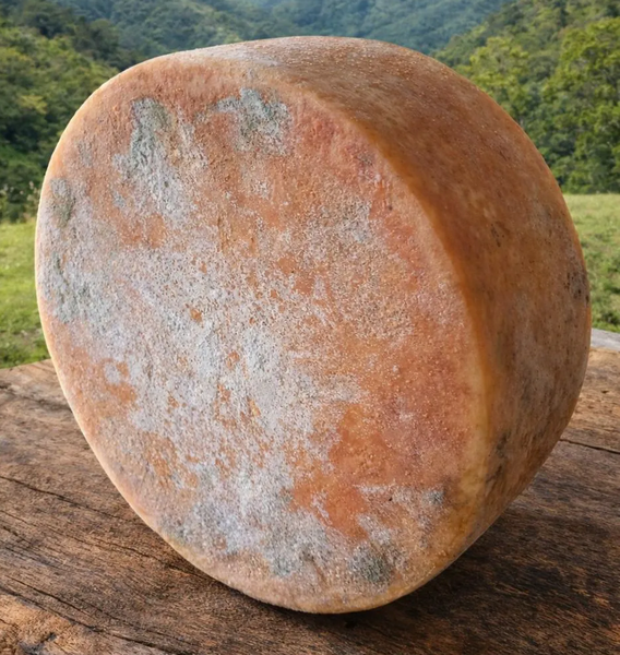 QUEIJO MATURADO KG