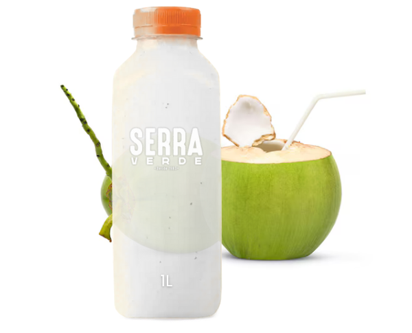 ÁGUA DE COCO NATURAL 1L