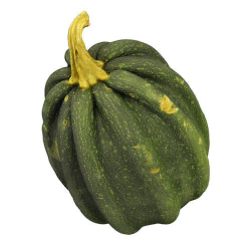 ABOBORA MOGANGO KG