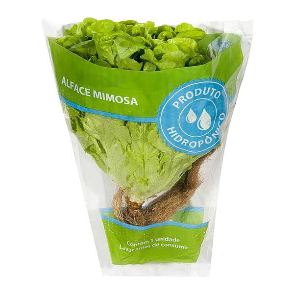 ALFACE MIMOSA HIDROPÔNICA HIDROSABOR