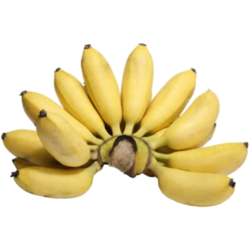 BANANA OURO KG
