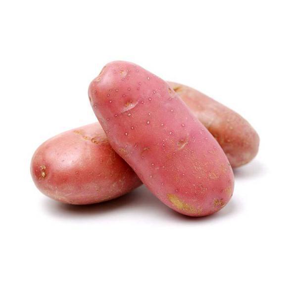 BATATA ASTERIX ROXA KG