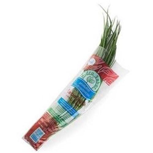 CEBOLINHA HIDROPÔNICA HIDROSABOR