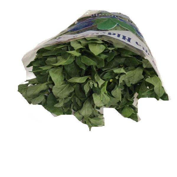 ESPINAFRE HIDROPÔNICO HIDROSABOR