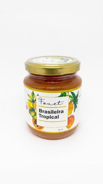 GELEIA BRASILEIRA TROPICAL 230G FOUET