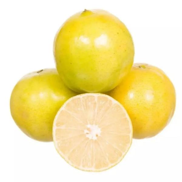 LARANJA LIMA DA PERSIA KG