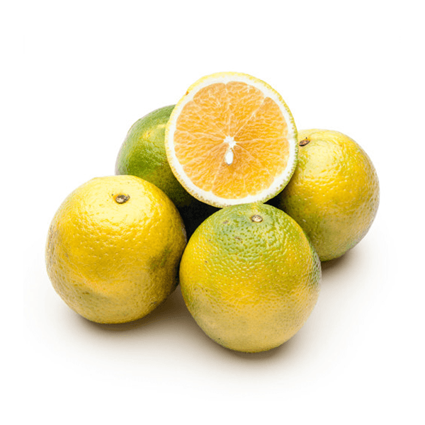 LARANJA SERRA D'ÁGUA KG