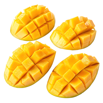 MANGA DESCASCADA BDJ