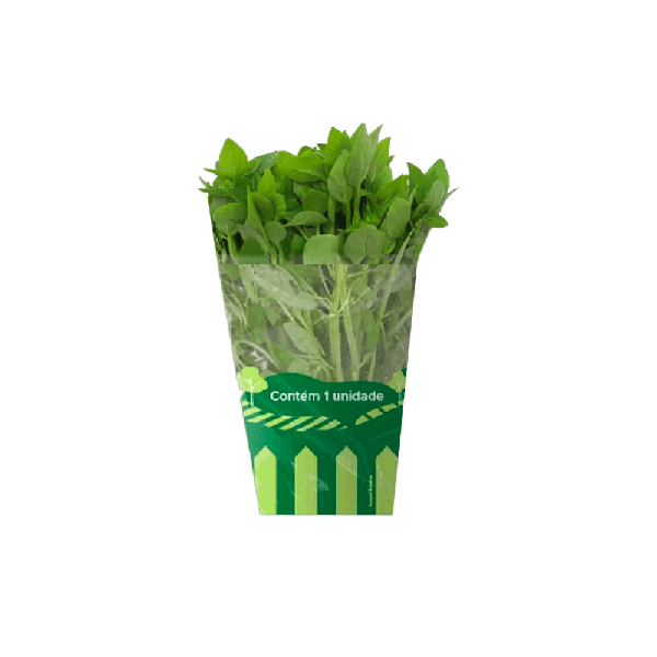 MANGERICÃO HIDROPÔNICO TEREFOLHAS