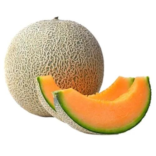 MELÃO CANTALOUPE