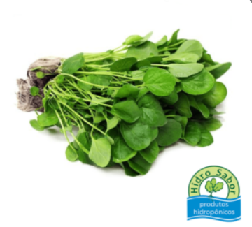 MINI AGRIÃO HIDROSABOR