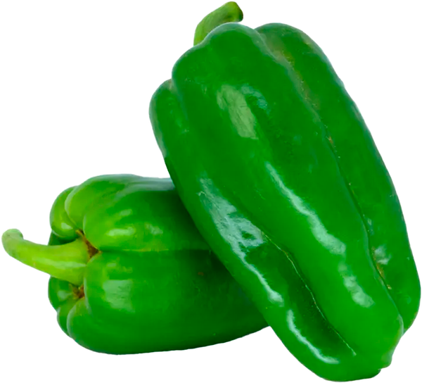 PIMENTÃO VERDE