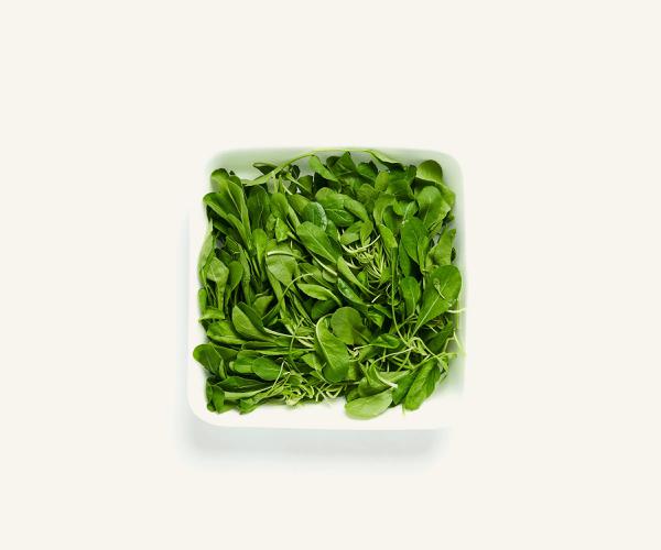 RUCULA HIGIENIZADA PCT