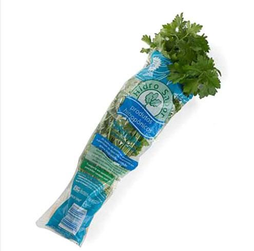 SALSINHA HIDROPONICA HIDROSABOR