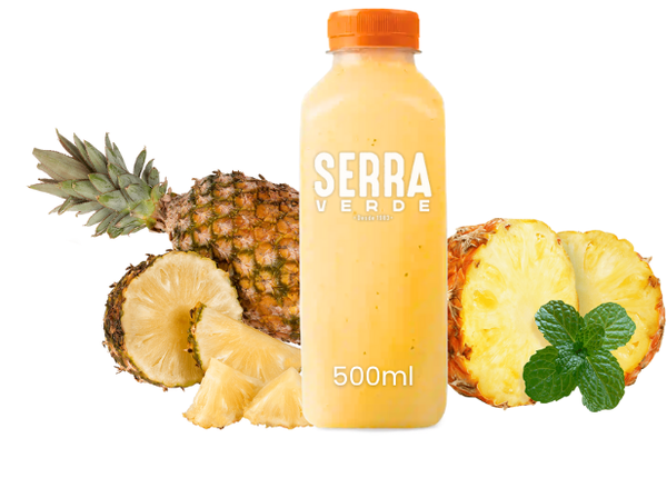 SUCO ABACAXI C/ HORTELA 500ML