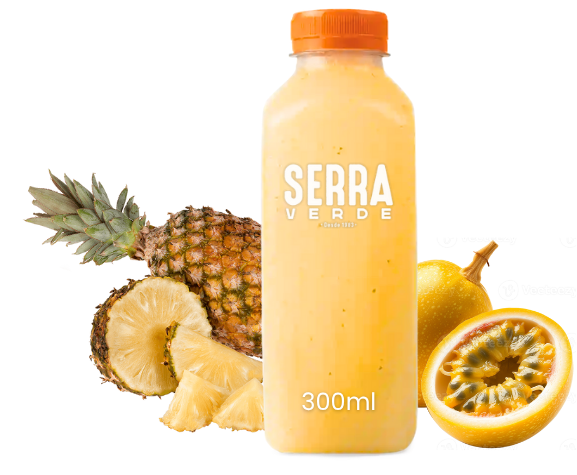 SUCO DE ABACAXI C/ MARACUJA 300ML