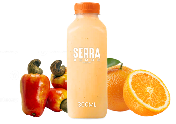 SUCO DE CAJU C/ LARANJA NATURAL 300ML