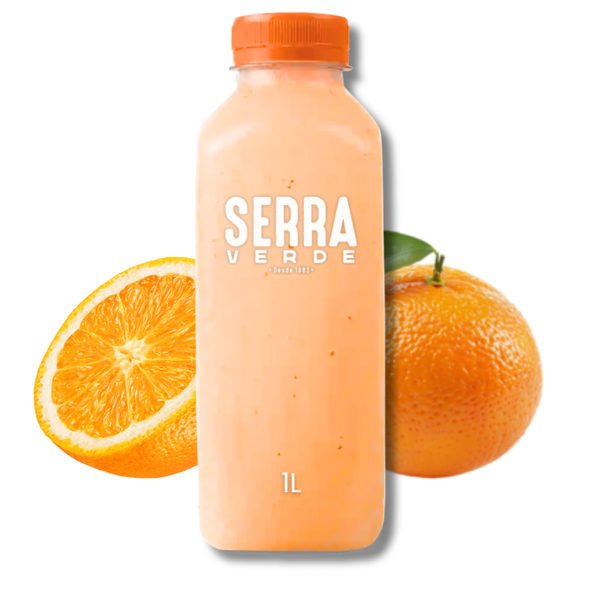 SUCO DE LARANJA 1L