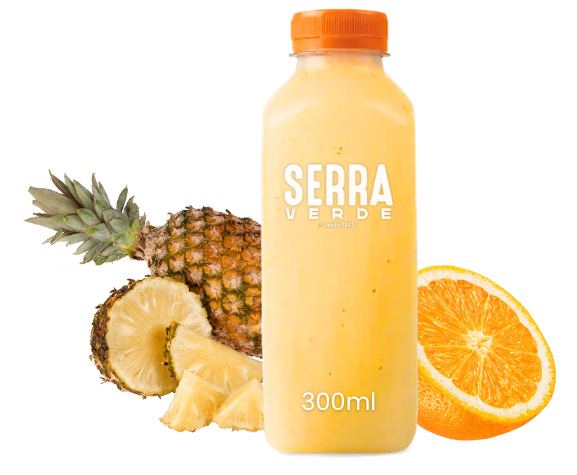 SUCO LARANJA C/ ABACAXI 300ML