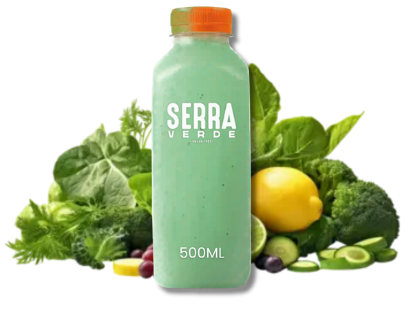 SUCO SERRA VERDE 500ML DETOX