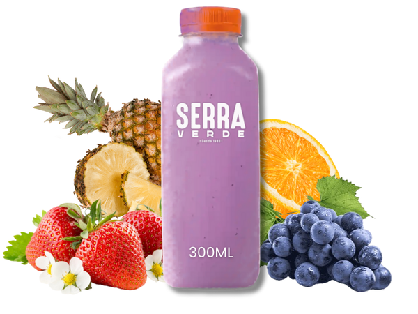 SUCO VERÃO 300ML