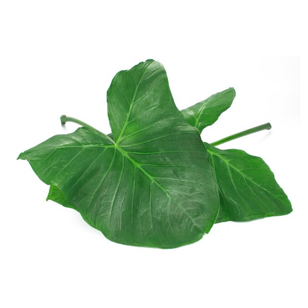 TAIOBA UNIDADE
