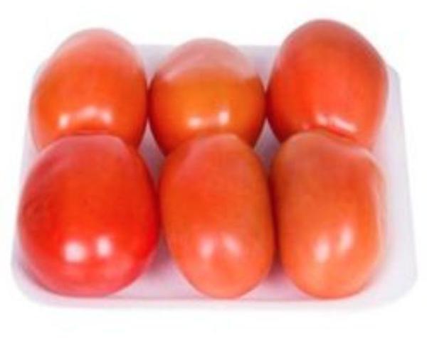 TOMATE ITALIANO BDJ
