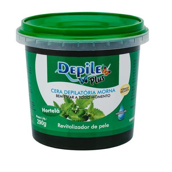 CERA DEPILE PLUS 290G HORTELA