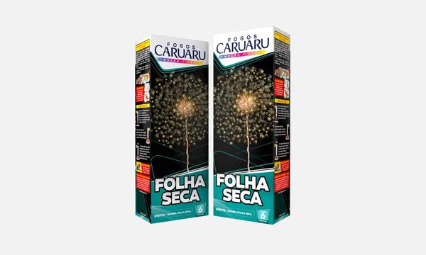 FOGUETE CARUARU FOLHA SECA
