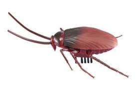 BRINQ MUNDO INSETO BARATA