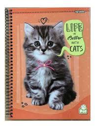 CADERNO CART. STARSCHOOL PET ESP. S/ SEDA 80F