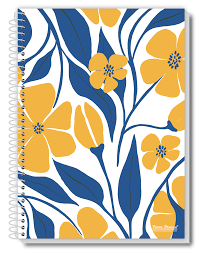 CADERNO UAU ESP. UNIV C/D 10MAT. 200FLS