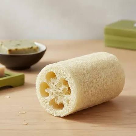 ESPONJA VEGETAL P/BANHO CLARIS DUO CARE