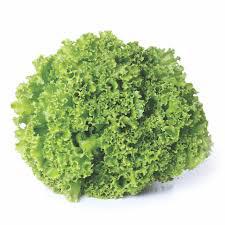 FLV ALFACE CRESPA HIGIENIZADA 180G