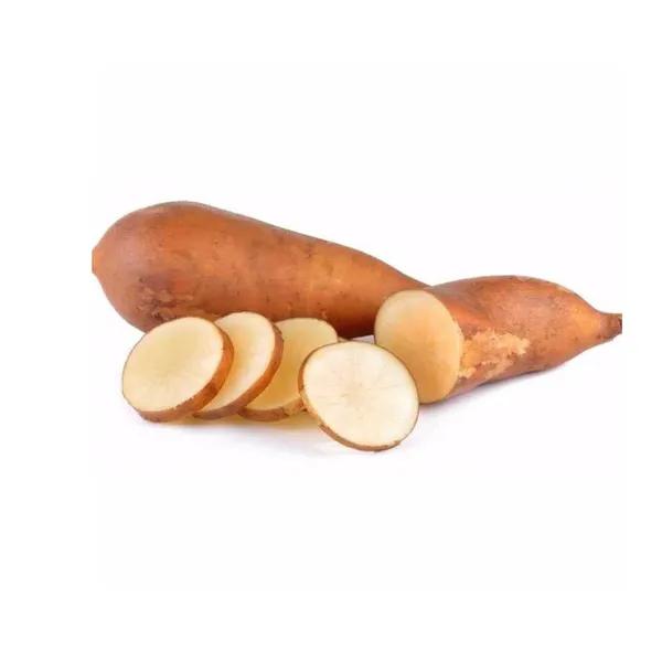BATATA YACON KG