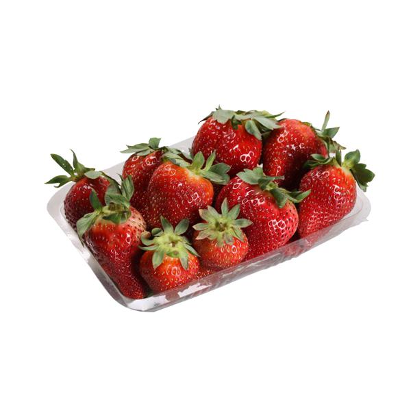 MORANGO FONDUE 450GR