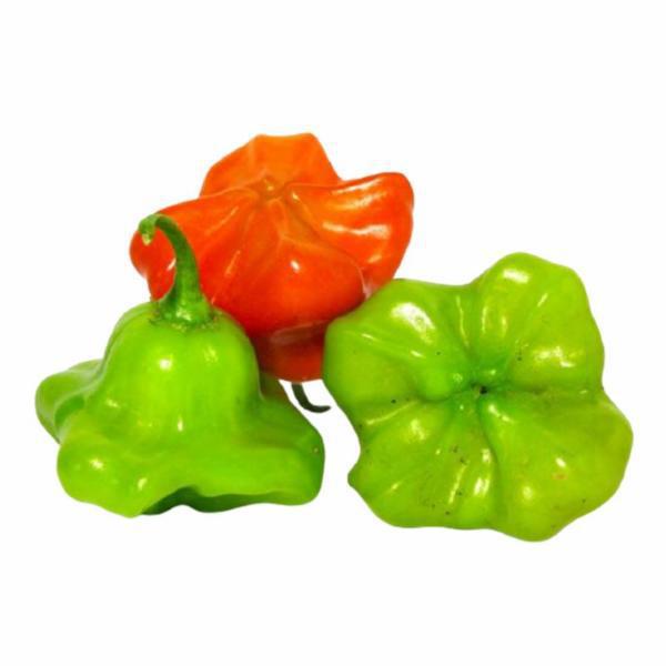 PIMENTA CAMBUCI KG