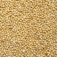 PAINCO 500G PONZAN