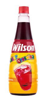 XAROPE GROSELHA WILSON 900ML