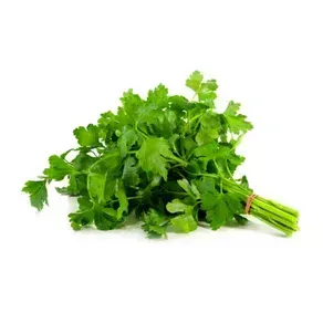 SALSA UN