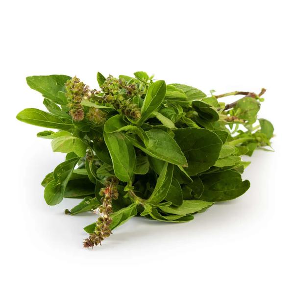 ALFAVACA