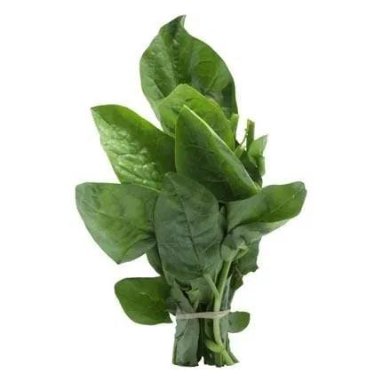 BERTALHA