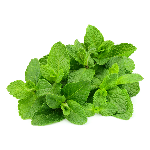 HORTELA