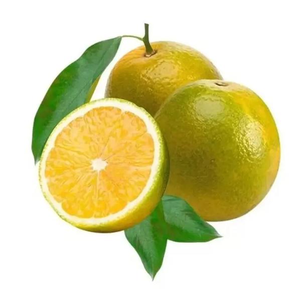 LARANJA PERA kg