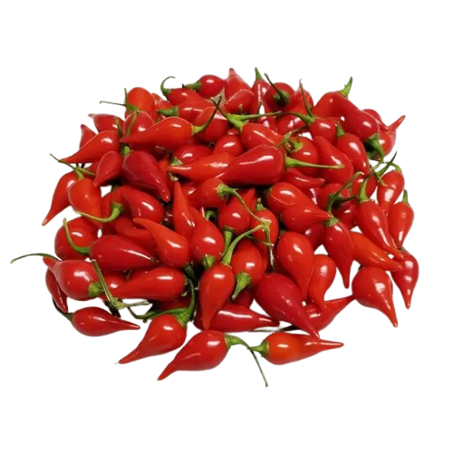 PIMENTA VERMELHA BIQUINHO GRANEL kg