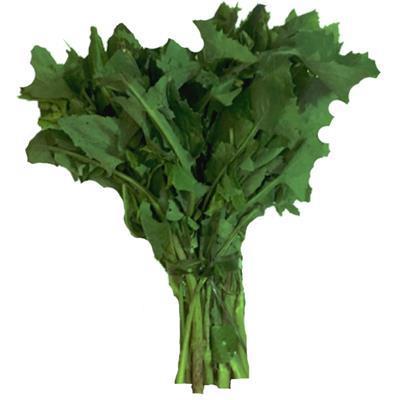 SERRALHA