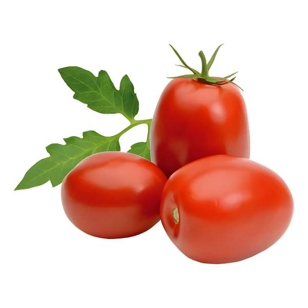 TOMATE ITALIANO kg